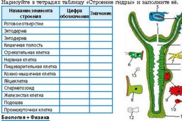 Как открыть кракен